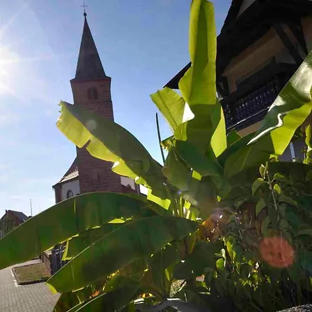 Altes Zollhaus Apartment Fischbach bei Dahn